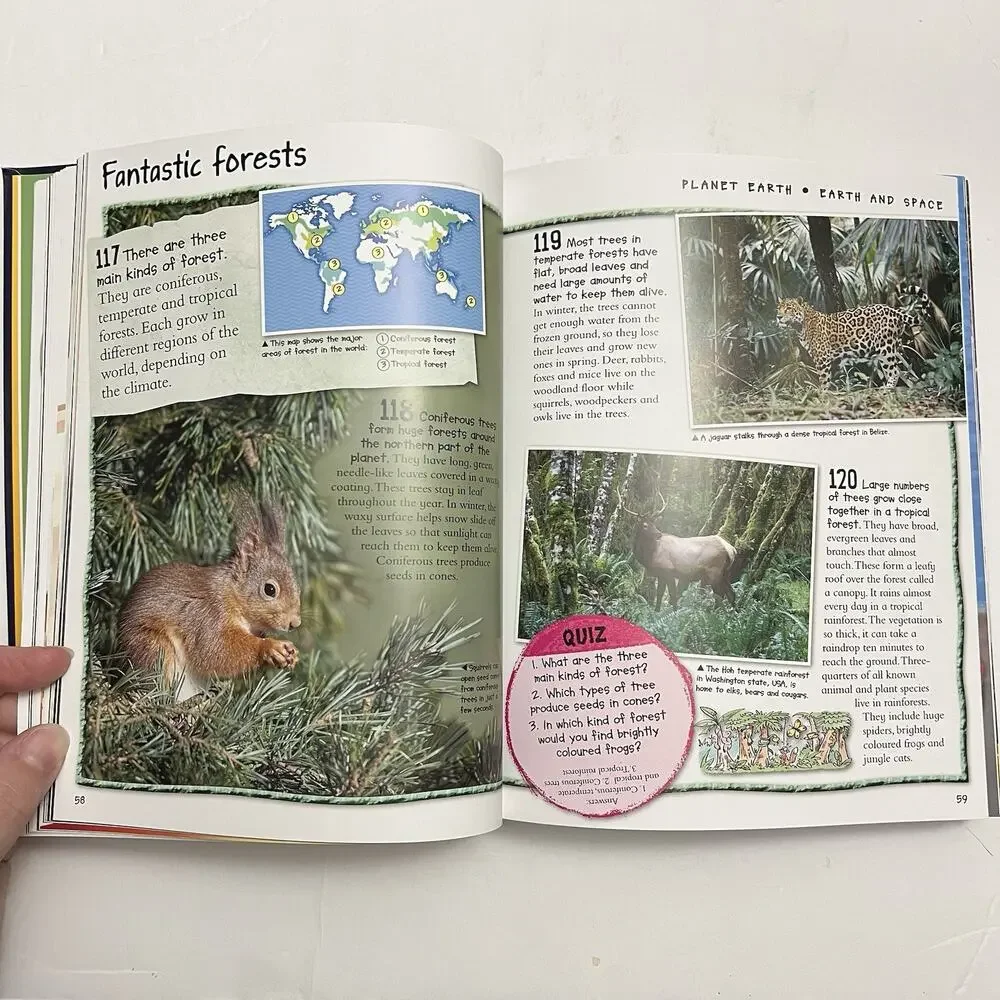 Fantastic Facts From Awesome Animals To Explosive Space Miles Kelly Publishing